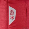 Терморюкзак Quechua Forclaz Ice 20L (красный)