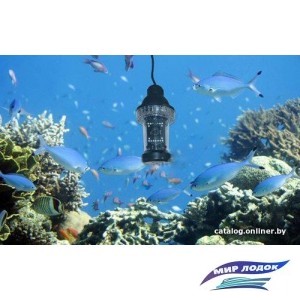Подводная камера Sititek FishCam-360