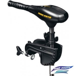 Лодочный мотор Minn Kota Endura C2 40