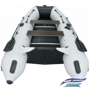 Моторно-гребная лодка Albatros AV-360S