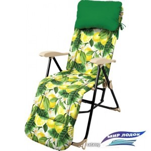 Кресло Nika Haushalt с подножкой и матрасом складное HHK5 (лимоны)