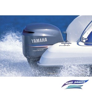 Лодочный мотор Yamaha F25DES