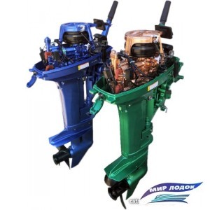 Лодочный мотор Allfa T9.9MAX (зеленый)