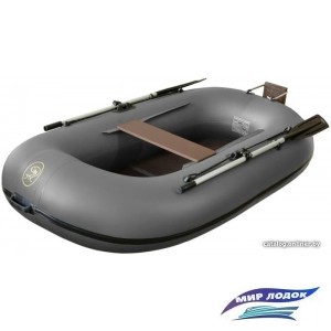 Моторно-гребная лодка BoatMaster 250 Эгоист Люкс (серый)