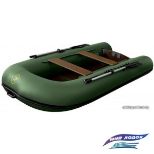 Моторно-гребная лодка BoatMaster 310T (зеленый)