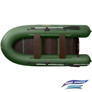 Моторно-гребная лодка BoatMaster 310T (зеленый)